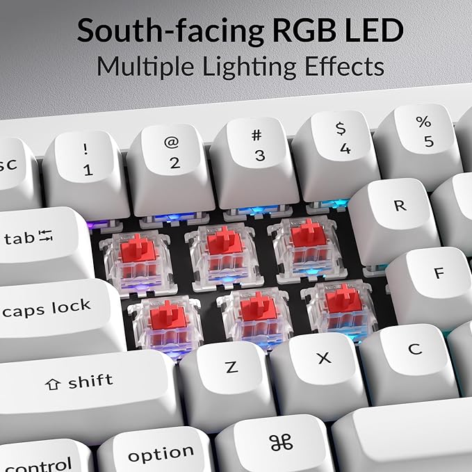 Keychron Q4 Wired Custom Mechanical Keyboard, QMK/VIA Programmable Macro, Full Aluminum, Hot-Swappable Gateron G Pro Red Switch, 60% Layout Double Gasket Compatible with Mac and Windows - White