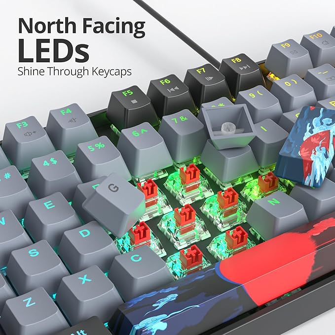 75% Mechanical Gaming Keyboard with Red Switch, RGB LED Backlit Keyboard Grey, 87 Keys Compact TKL Wired Computer Keyboard for Windows Laptop PC Gamer (87 Dolch)