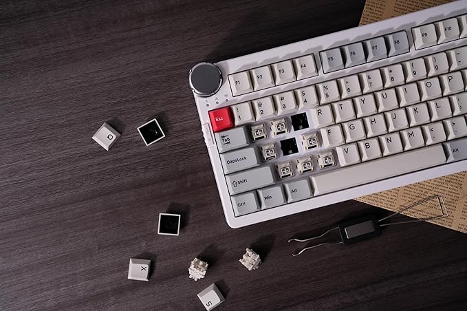 ZORNHER ZH980 Pro Wireless Mechanical Keyboard with Metal Knob,95% Thocky Gaming Keyboard with Number,Creamy Keyboard with Number Pad,Creamy Sounding Switches,QMK/VIA,Classic Vintage Retro White