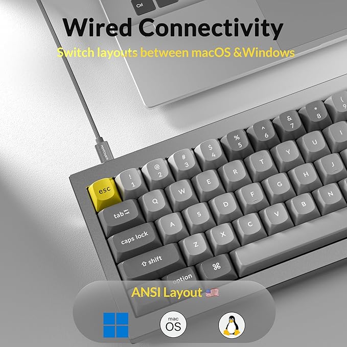 Keychron Q4 Wired Custom Mechanical Keyboard, 60% Layout QMK/VIA Programmable Macro with Hot-swappable Gateron G Pro Blue Switch Double Gasket Compatible with Mac Windows Linux (Gray)