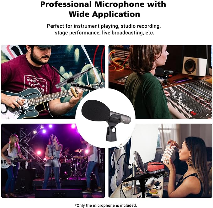 TAKSTAR Condenser Microphone with Windscreen, Professional Cardioid Mic, XLR Gold-Plated Diaphragm Recording Microphone for Singing, Studio, Instrument, Interview, Radio Stations, Broadcast - CM-60
