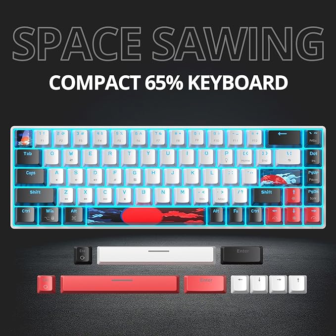 Protable 60% Percent Gaming Keyboard Mechanical, Mini Compact Ice-Blue LED Backlit 68 Keys Wired Office Keyboard with Red Switch for Mac/Win/PS4/PS5（68White/red Switch）