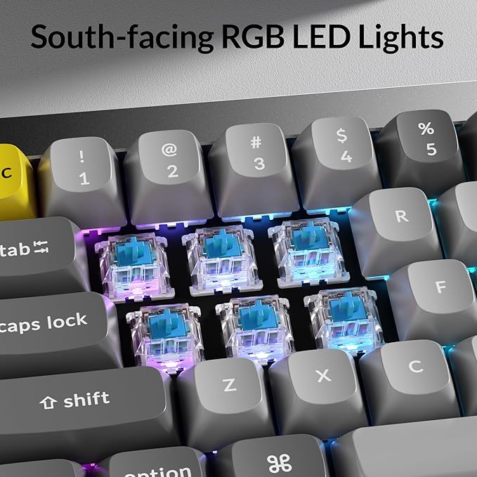 Keychron Q4 Wired Custom Mechanical Keyboard, 60% Layout QMK/VIA Programmable Macro with Hot-swappable Gateron G Pro Blue Switch Double Gasket Compatible with Mac Windows Linux (Gray)