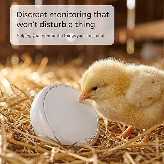 Disc Maxi with Alerts Thermometer Hygrometer, Smart Humidity Temperature Sensor with App Notification Alert, Unlimited Data Storage Export, Remote Monitor for Room Greenhouse Incubator Wine Cellar