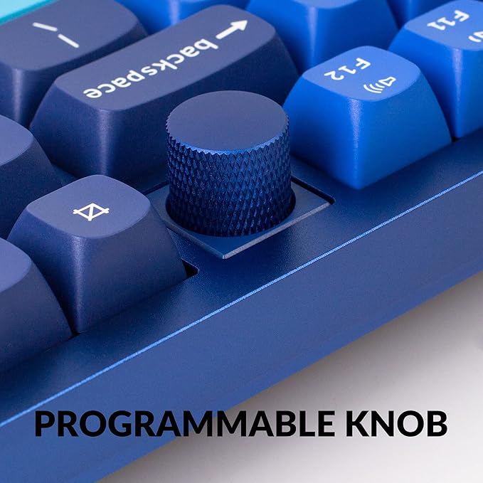 Keychron Q3 Wired Custom Mechanical Keyboard Knob Version, TKL Tenkeyless QMK/VIA Programmable Macro with Hot-swappable Gateron G Pro Red Switch Double Gasket Compatible with Mac Windows Linux (Blue)