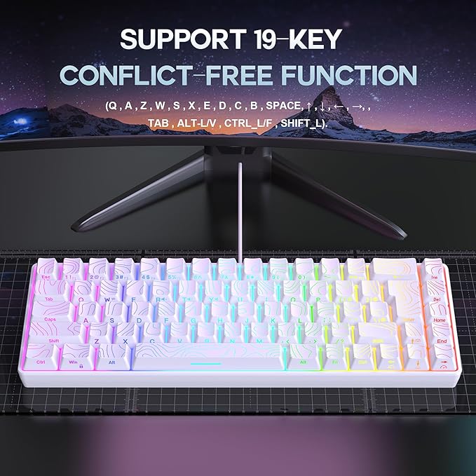Snpurdiri 65% Wired Gaming Keyboard, 68 Keys RGB Backlit Ultra-Compact Small Gaming Keyboard, for PC/Mac Gamer, Typist, Travel, Easy to Carry on Business Trip White