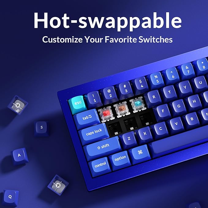 Keychron Q4 Wired Custom Mechanical Keyboard, QMK/VIA Programmable Macro, Full Aluminum, Hot-Swappable Gateron G Pro Red Switch, 60% Layout Double Gasket Compatible with Mac and Windows - Blue
