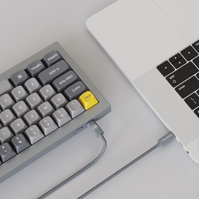 Keychron Q2 Wired Custom Mechanical Keyboard Knob Version, 65% Layout QMK/VIA Programmable Macro with Hot-swappable Gateron G Pro Blue Switch Double Gasket Compatible with Mac Windows Linux (Grey)
