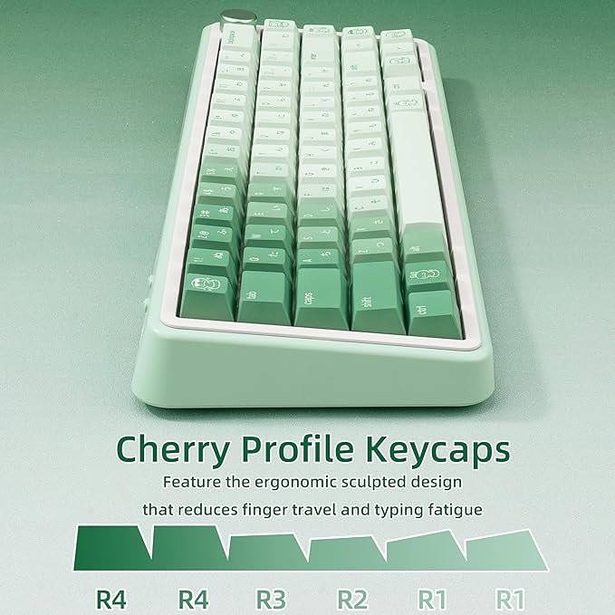 134 Keys Gradient Green PBT Keycaps - 5-Side Dye-Sublimation Cute Snake Elements, Japanese Root Characters, Cherry Profile Keycaps Set for Mechanical Keyboard (60/65/75/80/100 Layouts)