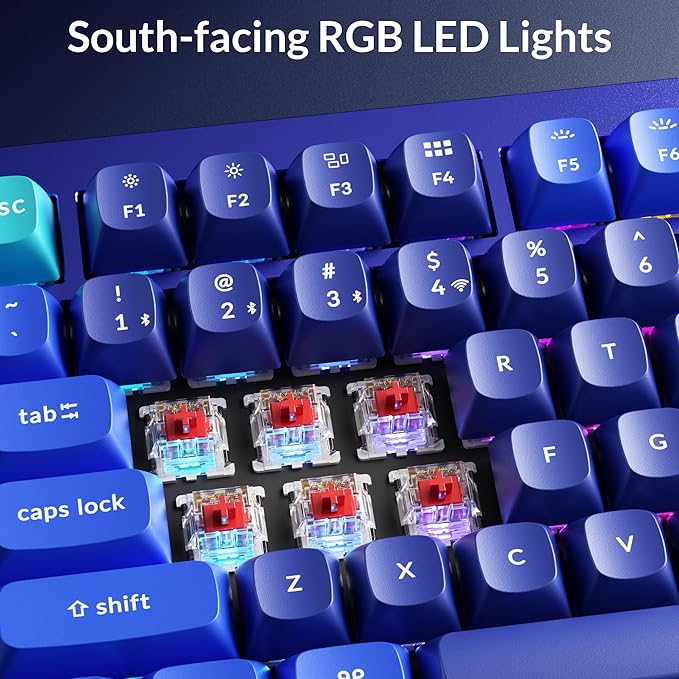 Keychron Q1 RGB Wired Custom Mechanical Keyboard Knob Version, 75% Layout QMK/VIA Programmable with Hot-swappable Gateron G Pro Red Switch Double Gasket Compatible with Mac Windows Linux (Blue)