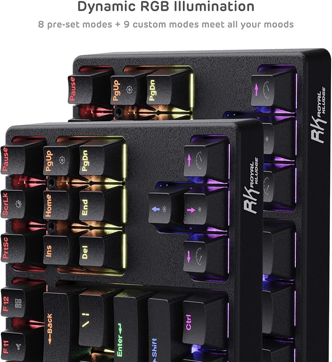 RK ROYAL KLUDGE RK87 Sink87G RGB 80% Mechanical Keyboard, Wireless 2.4G Tenkeyless Mechanical Keyboard with Programmable Software, 87 Keys, Tactile Brown Switches