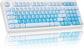 ZORNHER ZH980 Foundation Wireless Mechanical Keyboard,95% Blue Creamy Keyboard with Number Pad,Hot-Swappable Gaming Keyboard,Jelly Keycaps,Creamy Sounding Linear Switches,Hot-Swappable,Full Size