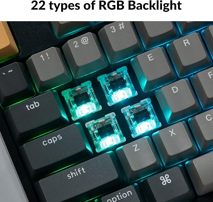 Keychron C2 Pro Wired Custom Mechanical Keyboard Full Size Layout QMK/VIA Programmable Macro RGB Backlit with Hot-Swappable Keychron K Pro Brown Switch OEM Profile PBT Keycaps for Mac Windows Linux