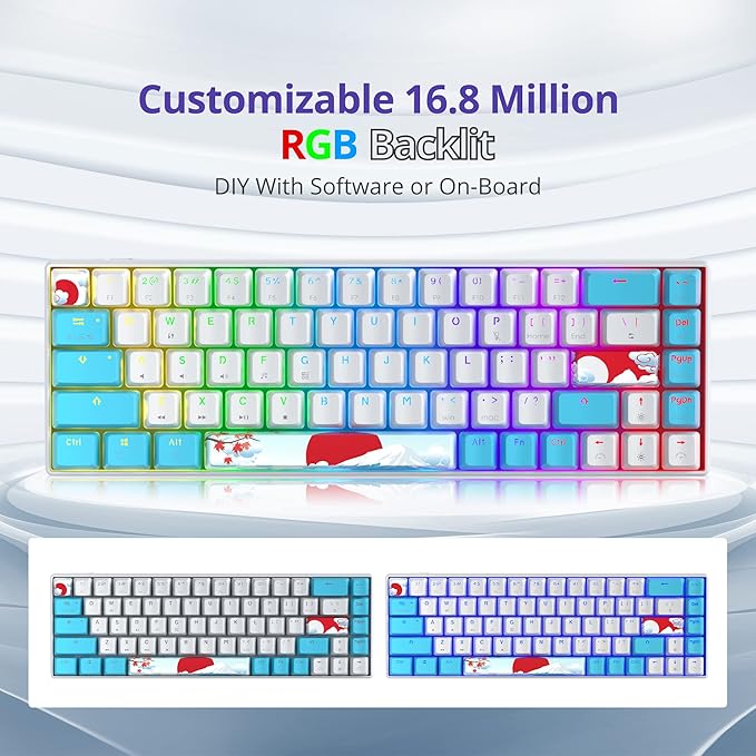 Owpkeenthy Portable 60% Mechanical Gaming Keyboard, Ultra Compact RGB Wired 65 Percent Mini Office Keyboard Backlit with Red Switch for PC/PS5/XBOX(Blue/ 68 Red Switch)