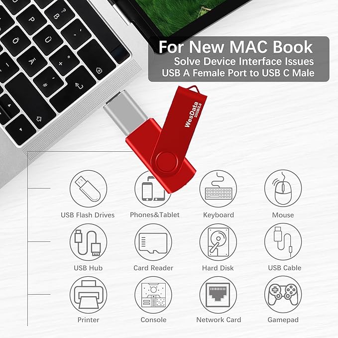 2 Pack 32GB USB 2.0 Flash Drive and 1 USB C Adapter, Thumb Drive USB Memory Stick Jump Drive, Compatible with OTG Type C Phones, Tablets, Laptop, PC (Blue, Red)