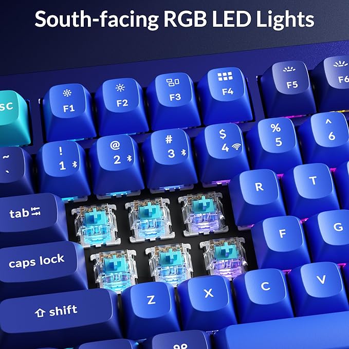Keychron Q1 RGB Wired Custom Mechanical Keyboard, 75% Layout QMK/VIA Programmable Macro with Hot-swappable Gateron G Pro Blue Switch Double Gasket Compatible with Mac Windows Linux (Blue) -Version 2