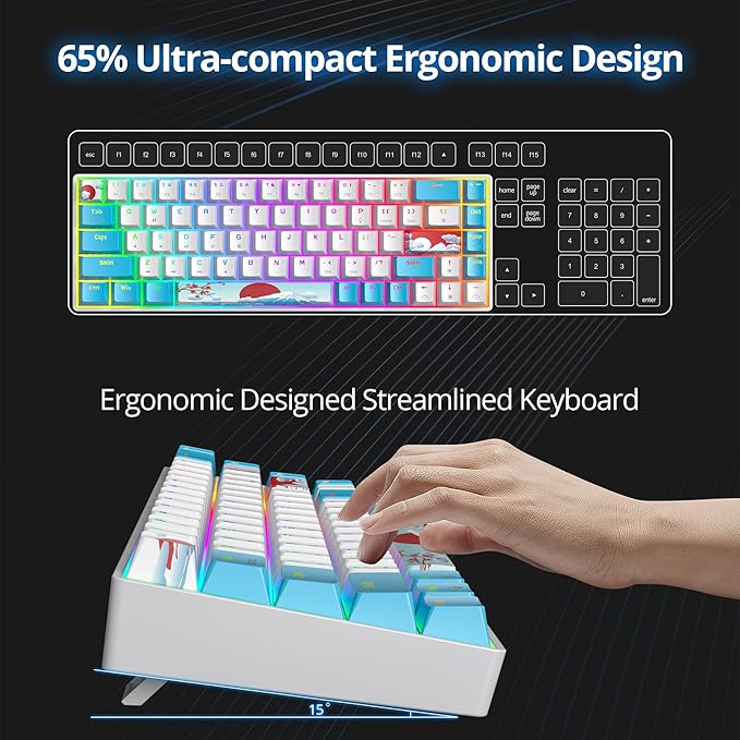 65 Percent Mechanical Gaming Keyboard 65% Portable Keyboard 68 Keys Compact Wired Keyboard RGB Backlit for PC Laptop Gamer(68 Sea/Blue Switch)