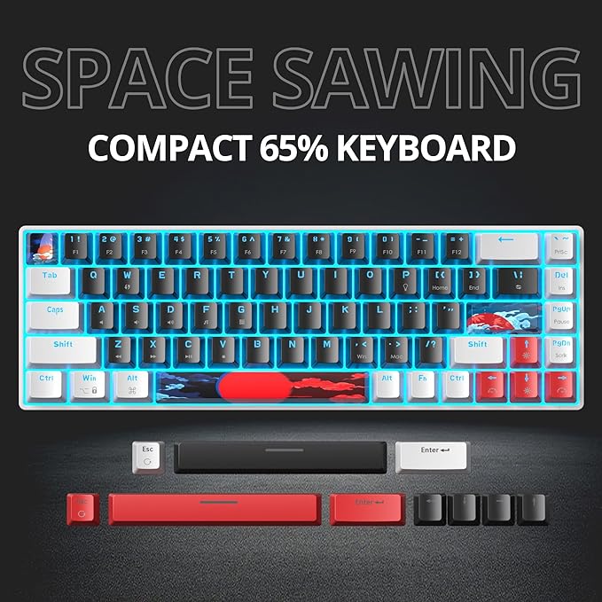 Protable 60% Percent Gaming Keyboard Mechanical, Mini Compact Ice-Blue LED Backlit 68 Keys Wired Office Keyboard with Red Switch for Mac/Win/PS4/PS5(68Black/red Switch)