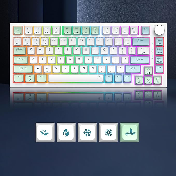 Owpkeenthy Wired 75% Hot Swappable Mechanical Keyboard, Gasket Mounted TKL 82 Key Gaming Keyboard Linear Red Switch RGB Backlit with Volume Knob, for PC Laptop (82 Mint)