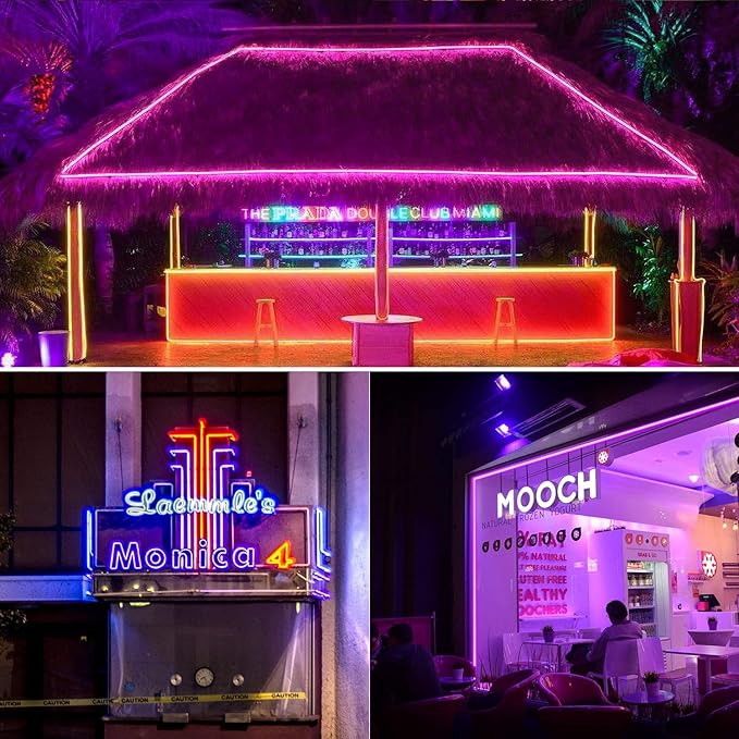 Shine Decor 12V LED RGB Neon Rope Lights Dimmable, 16.4FT Silicone Strip Lighting Remote Control, Flexible Hardwired LED Neon Light Color Changing for Custom Signage Bedroom Gaming Room Party