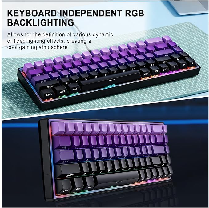 Mechanical Gaming Keyboard 65% Wired, Magnetic Switch Hot Swappable RGB Backlit, 68-Key Compact Mini Keyboard with Blue Switch, Detachable USB-C Cable for PC Mac Gamer