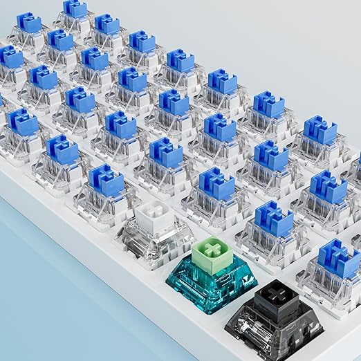 Outemu 90PCS Blue Clicky Mechanical Keyboard Switches,3-Pin Hot-Swappable Pre-Lubricated Switch with 2 Kailh Switches,Crisp Click Sound,for Gaming Keyboards & 3D Print Accessories