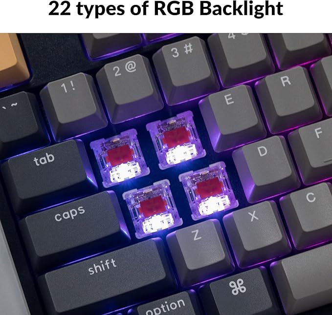 Keychron C2 Pro Wired Custom Mechanical Keyboard Full Size Layout QMK/VIA Programmable Macro RGB Backlit with Hot-Swappable Keychron K Pro Red Switch OEM Profile PBT Keycaps for Mac Windows Linux