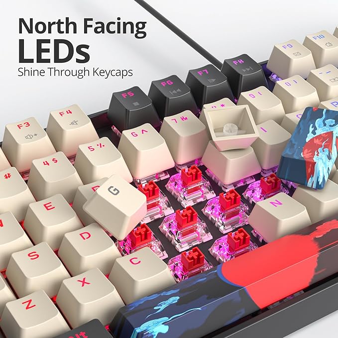 75% Mechanical Gaming Keyboard with Red Switch, RGB LED Backlit Keyboard Orange, 87 Keys Compact TKL Wired Computer Keyboard for Windows Laptop PC Gamer (87 Carbon)