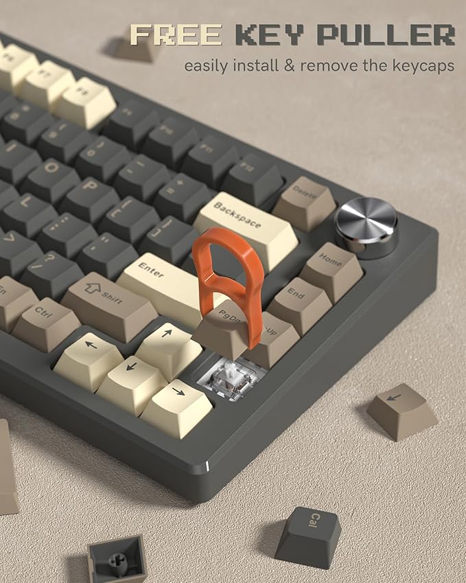 Womier Double Shot PBT Keycaps Set 138 Keys, Cherry Profile Custom Keycaps 60 65 75 100 Percent for 61/64/68/84/87/100/104/108 Retro Gaming Mechanical Keyboard, Brown Gray