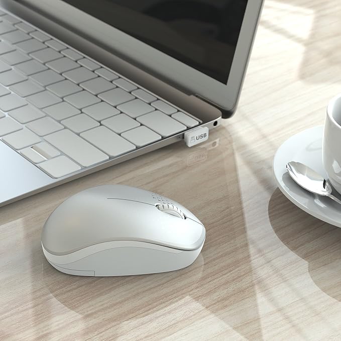 seenda Wireless Mouse for Laptop, 2.4G Noiseless Mouse with USB Receiver - Optical Tracking Portable Computer Mice for Chromebook, PC, Tablet, Windows System, 24 Months Battery Life (White & Silver)