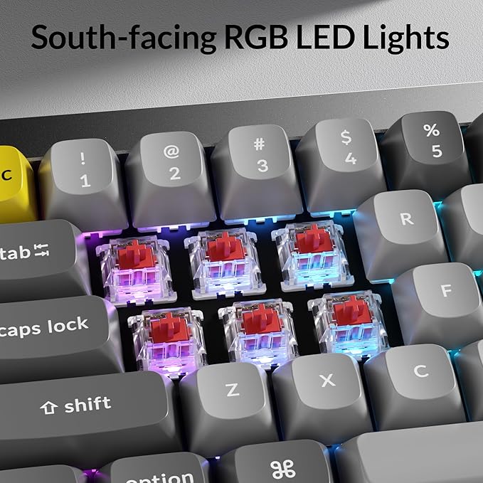 Keychron Q4 Wired Custom Mechanical Keyboard, 60% Layout QMK/VIA Programmable Macro with Hot-swappable Gateron G Pro Red Switch Double Gasket Compatible with Mac Windows Linux (Gray)