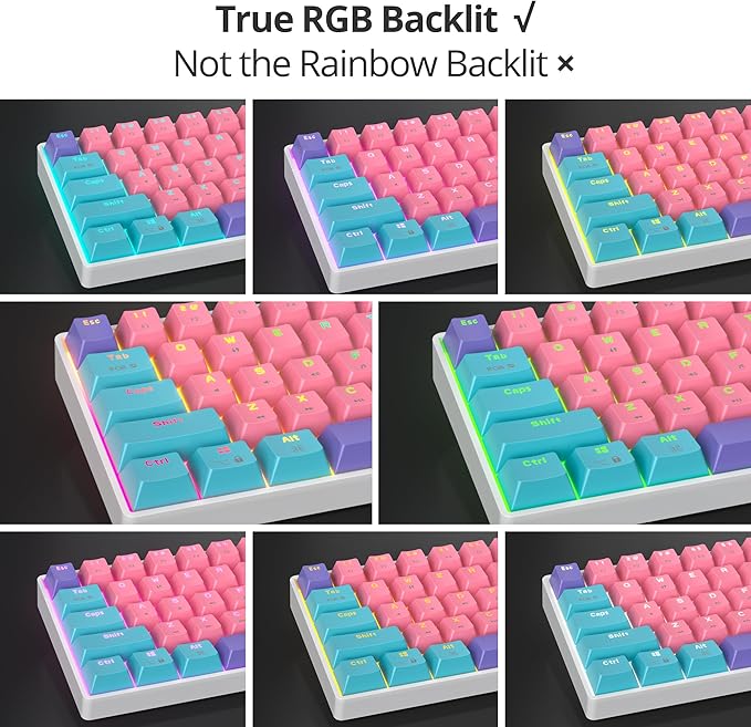 Protable 60% Percent Gaming Keyboard Mechanical, Mini Compact RGB Backlit 61 Keys Wired Office Keyboard with red Switch for Mac/Win (Zhi/red Switch)
