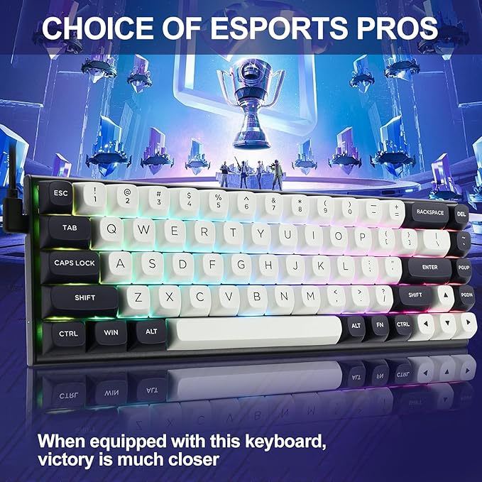 Redragon K701 Rapid Trigger Mechanical Gaming Keyboard, 60% Wired with Adjustable Actuation, Magnetic Switch, 8k Hz Polling Rate, RGB Backlit, 68 Keys Mini for PC Gamer, White/Blue-black