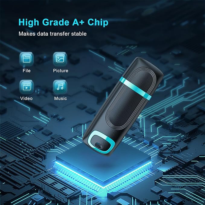 RAOYI 2 Pack 64GB USB 3.0 Flash Drive Thumb Drive High Speed Memory Stick Jump Drive Portable Zip Drive for PC Laptop