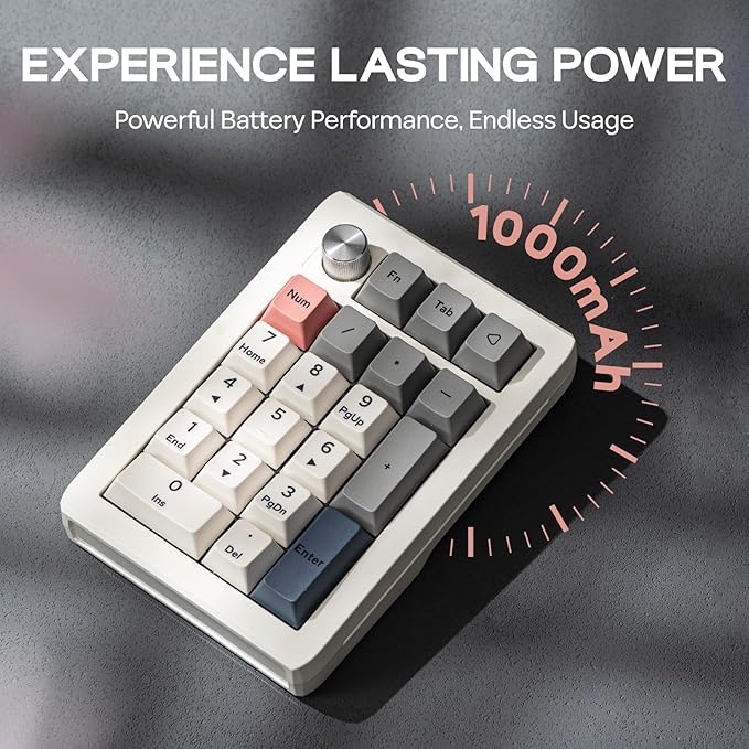 EPOMAKER EK21 VIA Gasket Number Pad with 1000mAh Battery, BT 5.0/2.4GHz/Wired Hot-Swap Numpad with Aluminum Alloy knob, Programmable for Win/Mac/Gaming (Retro White, Zebra Switch)