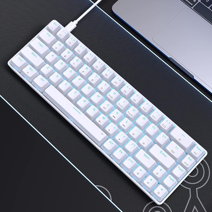 DIERYA T68SE 60% Gaming Mechanical Keyboard,Ultra Compact Mini 68 Key with Blue Switches Wired Keyboard,Anti-Ghosting Keys, for Windows Laptops and PC Gamers,White