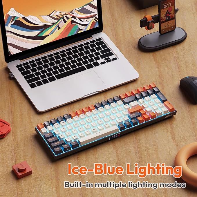 RK ROYAL KLUDGE RK100 Wireless Mechanical Keyboard RGB Backlit Bluetooth5.1/2.4G/Wired 96% Full Size 100-Key Hot Swappable Gaming Keyboard Brown Switch Carbon