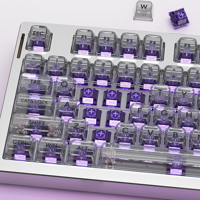 Zjmehty Outemu(Gaote) Violet Keyboard Switches with Light Diffusers,40g Tactile Pre-Lubricated Switches for MX Mechanical Keyboards(72 PCS)