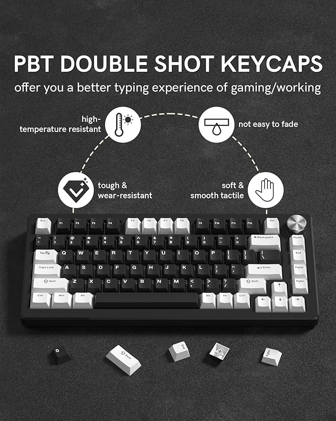 Womier Double Shot PBT Keycaps Set 138 Keys, Cherry Profile Custom Keycaps 60 65 75 100 Percent for 61/64/68/84/87/100/104/108 Retro Gaming Mechanical Keyboard, Black White