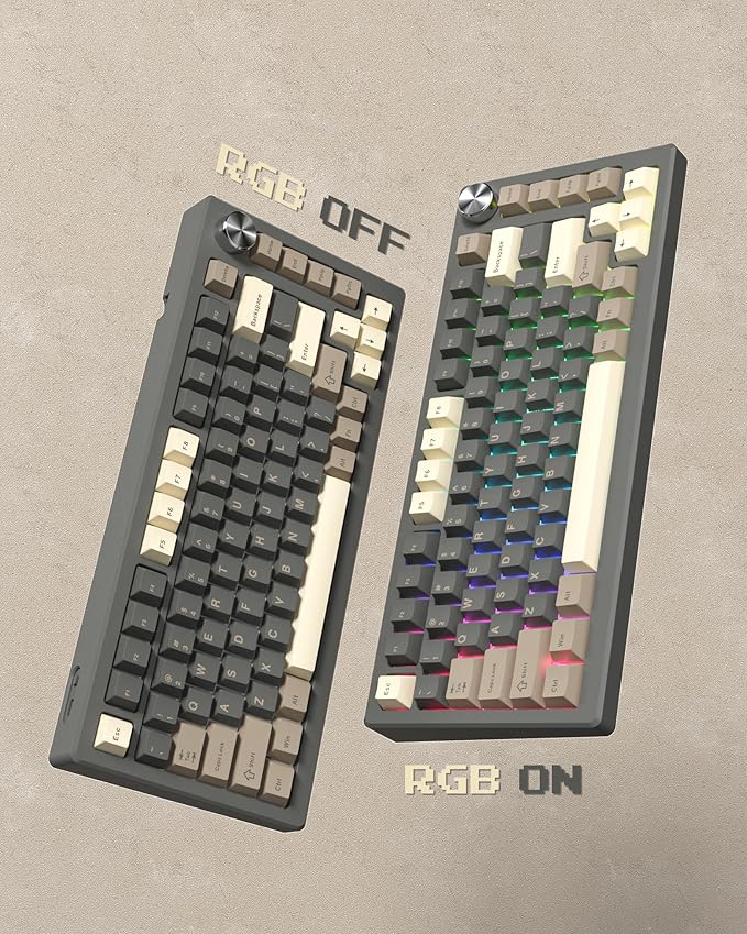 Womier Double Shot PBT Keycaps Set 138 Keys, Cherry Profile Custom Keycaps 60 65 75 100 Percent for 61/64/68/84/87/100/104/108 Retro Gaming Mechanical Keyboard, Brown Gray