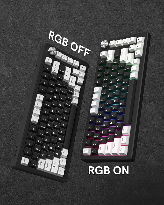 Womier Double Shot PBT Keycaps Set 138 Keys, Cherry Profile Custom Keycaps 60 65 75 100 Percent for 61/64/68/84/87/100/104/108 Retro Gaming Mechanical Keyboard, Black White