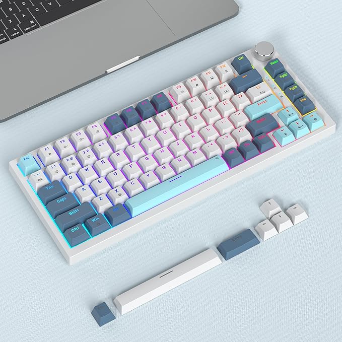 Owpkeenthy 75 Percent Mechanical Keyboard, 82 Key Gasket Mounted Hot Swappable with Volume Knob, Wired RGB Backlit NKRO Compact Gaming Keyboard for PC Laptop (82Shoko)
